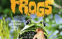 Horror Movie Covers - 3