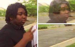 who would have the best stand