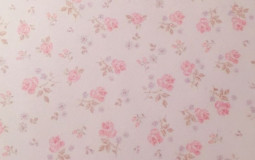 yay or nay disney boys