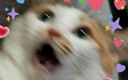 Husbando/Waifu Material