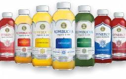 GT Brand Kombucha Flavors