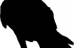 MEc actif en voc de la fac