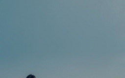 olivia rodrigo songs as olivia rodrigo songs