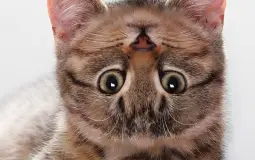 123