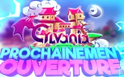 Les meilleur serveur français