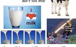 Milk