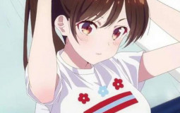 Chats Waifu/Husbando's