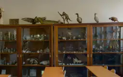 Tier Lista Nauczycieli Słowak