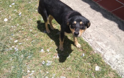 My Favorite Songs (Now and Then)