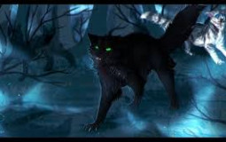 Best warrior cats