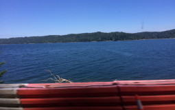 Forrest's Favorite Artists