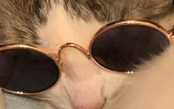 genderband russian twich streamers and youtubers