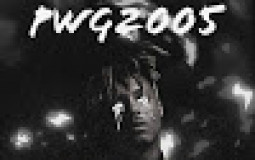 Every Plasma Wolf Gamer 2005 Video