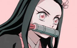 Waifu Ranking