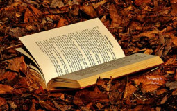 Books I own and need Read