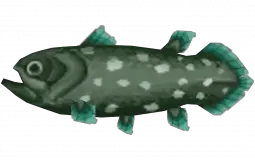 Animal Crossing Fish