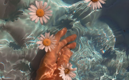 How Aesthetic Is Your Phone Case?