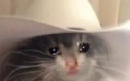 sad