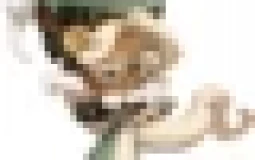 cookie run kingdom cookie tier list