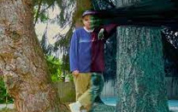 jaden bricker albums