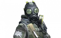 Les gonfs ranked  par les gonfs eux même