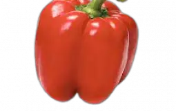 Chance for precipitation double