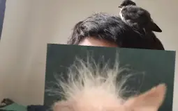 Version femenina (Club de Plaios)