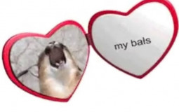 Seaside Driver Rankings