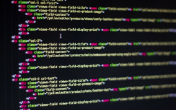 Programming Language / Framework