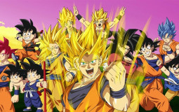Transformations Dragon Ball