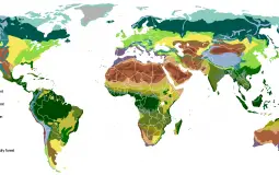 Biomes of the Earth