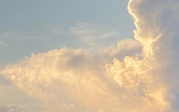 Valorant  skin for mee