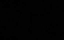 L3monbak3ry staff tier list