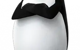 People who could run a Discord Server