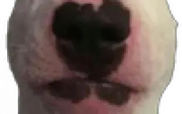 F tier