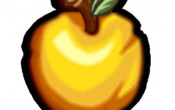 TierList UHC Français