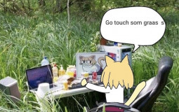 necozone mods/admins tierlist