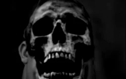 CAR DRIVING INDONESIA META(NON-LIMITED)(BERDASARKAN KEMUNCULAN DI PUBLIC/RP)