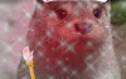 Mc pvppot fr tierlist