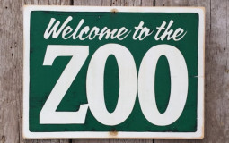 Best and worst Zoo animals
