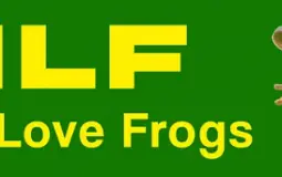 BDL Player Draft Rankings