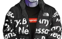 Veretis Ridge Campaign