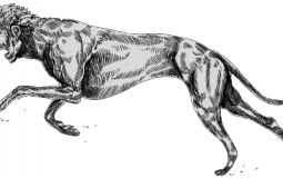 Hunt Showdown Trait tier list