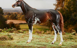 Breyer Premier Club Models