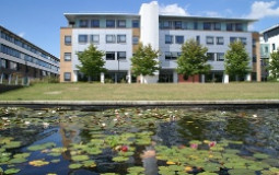 Year 2 Module Tier List