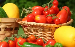 The ultimate veggie ranking
