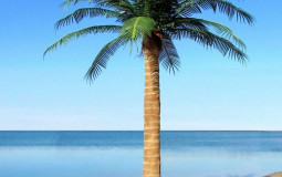 My mangalib tierlist