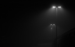 on va voir si t'as des goûts