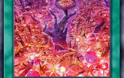 August Yugioh Meta Tier List