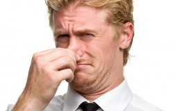 c qui là qui pue là